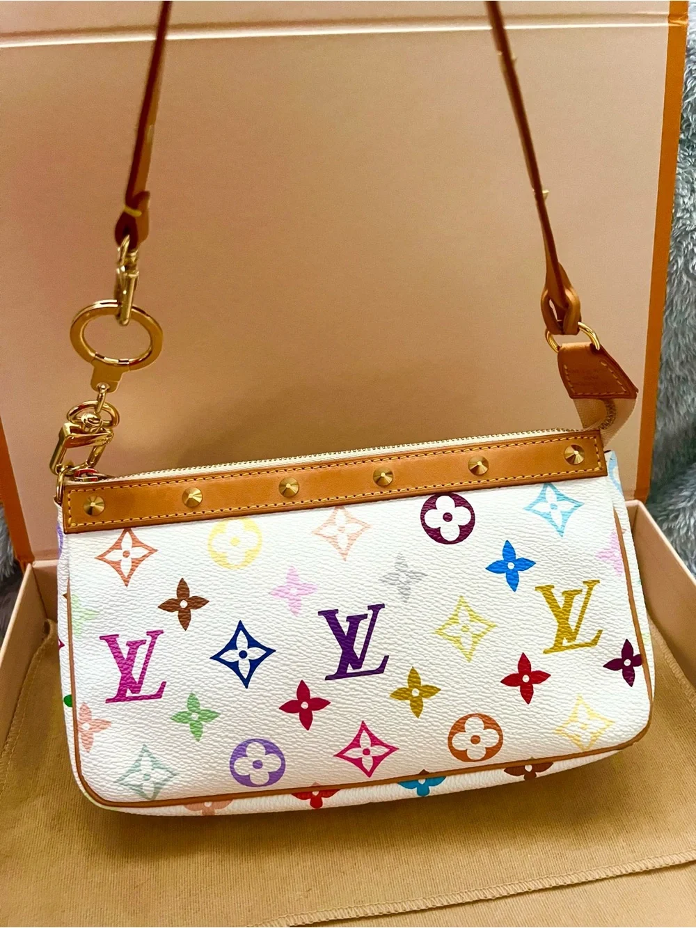 Louis Vuitton multicolor Pochette